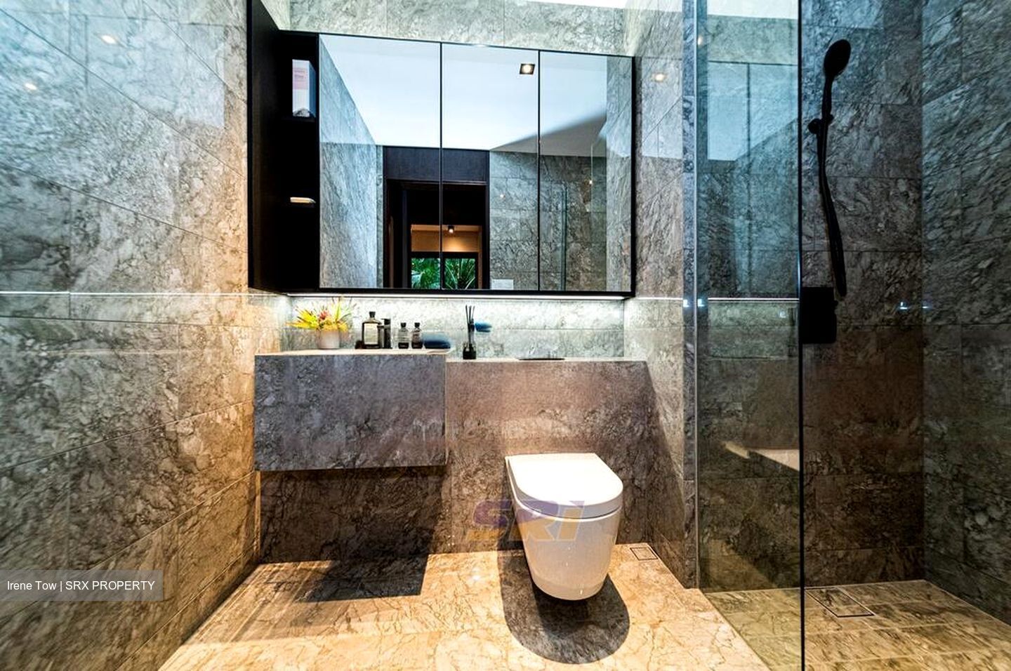Jervois Privé (D10), Apartment #470054511